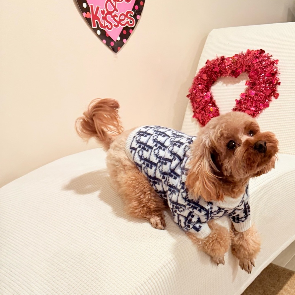 Cozy Knit Dog Sweater - Black and White